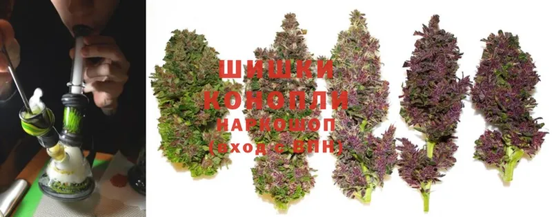 Бошки марихуана OG Kush  где купить наркоту  Ртищево 